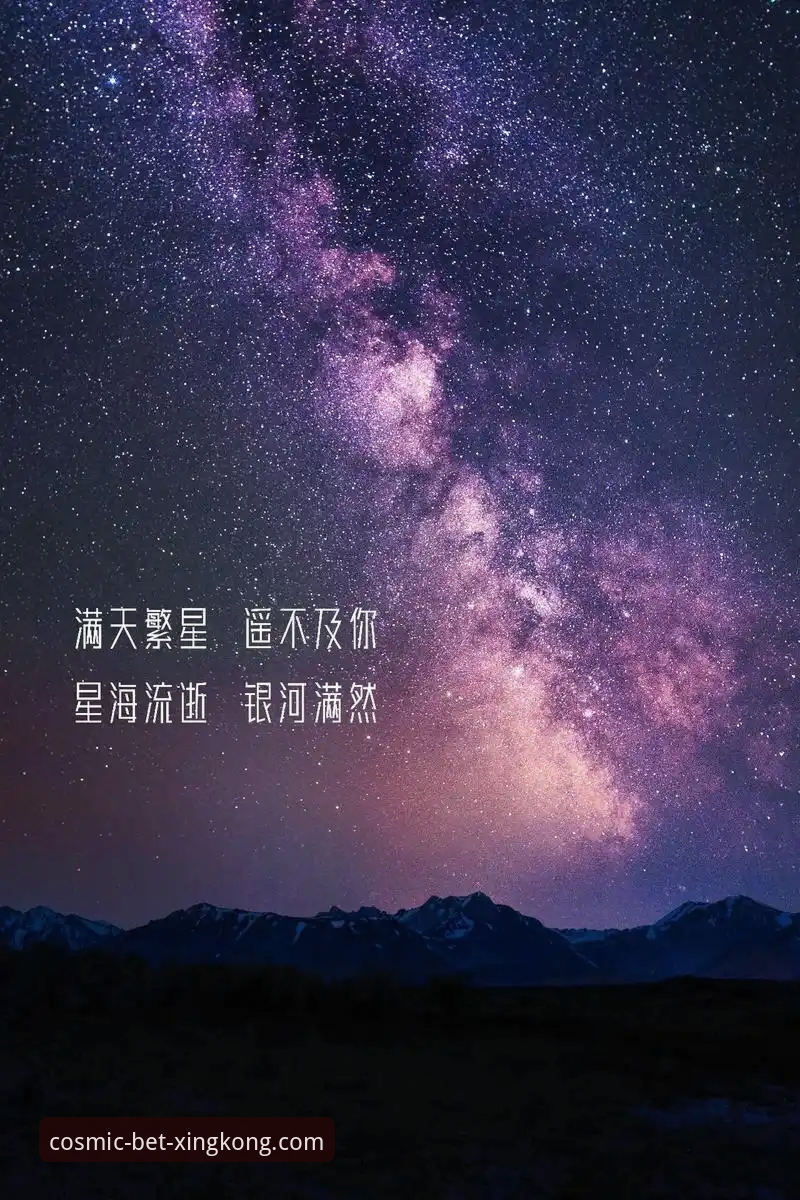 星空体育功能特点深度解析